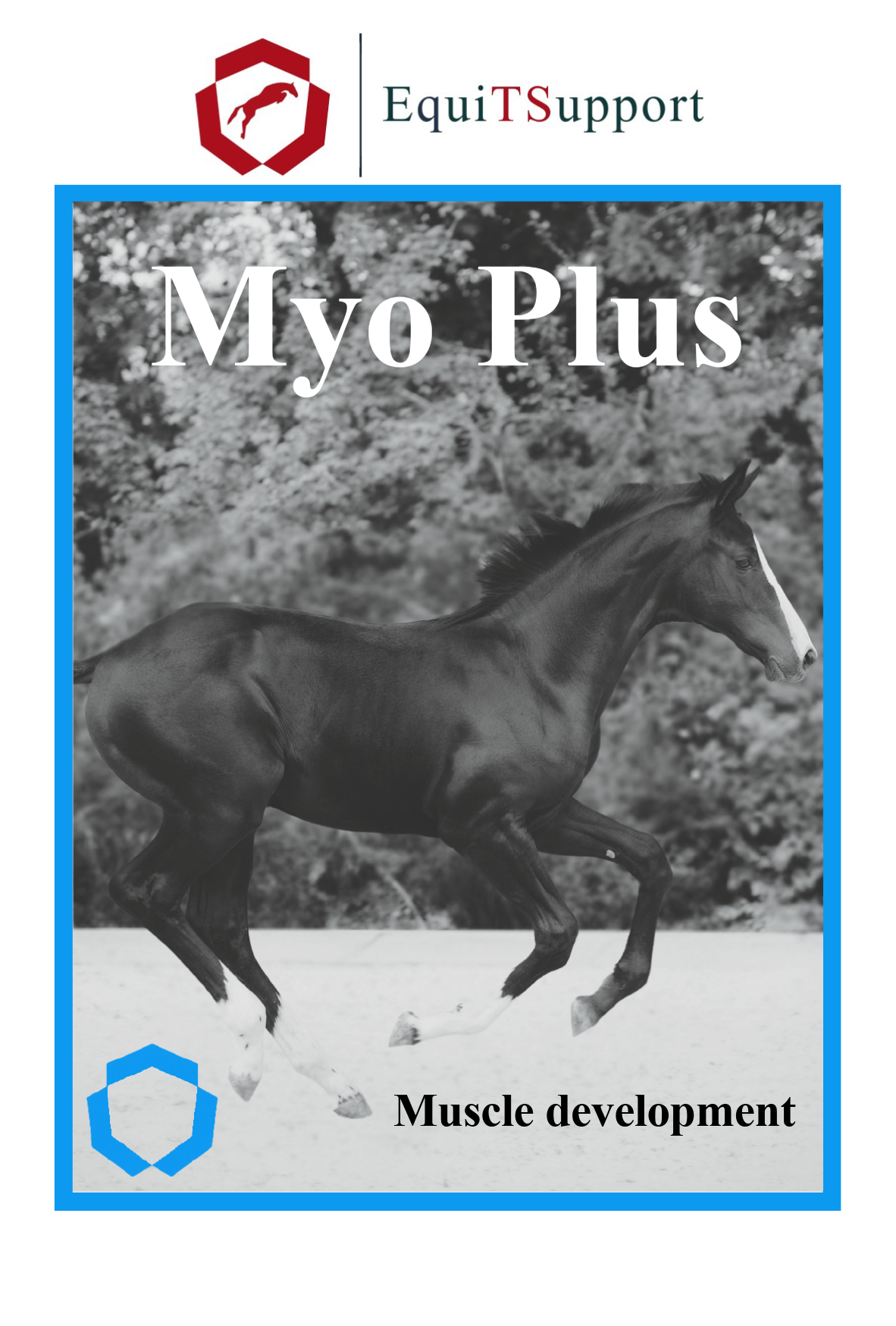 Myo Plus